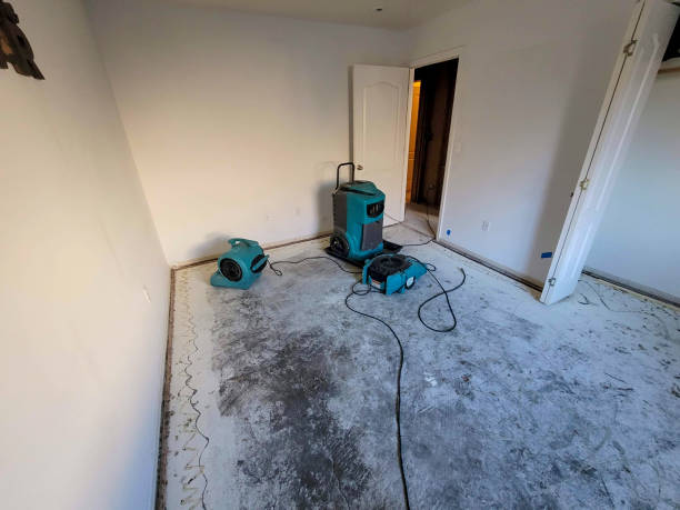 Best Sewage cleanup and water damage restoration  in Mauston, WI