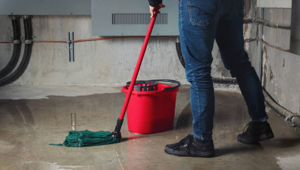 Water damage restoration insurance claims in Mauston, WI