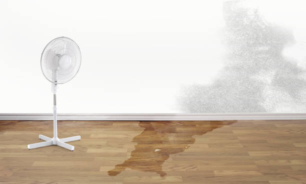Best Water damage restoration services  in Mauston, WI