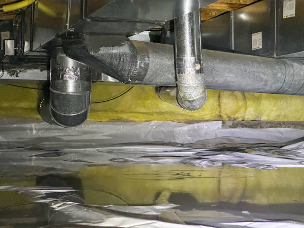 Best Basement water damage restoration  in Mauston, WI
