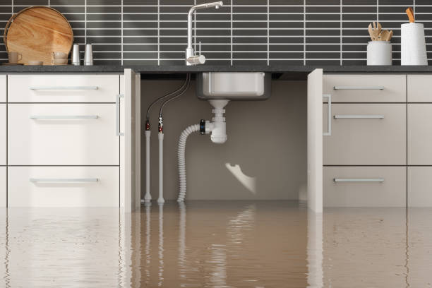 Best Carpet water damage restoration  in Mauston, WI