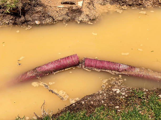 Best Water damage contractors near me  in Mauston, WI