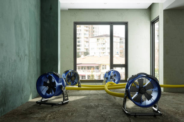 Best Water damage restoration near me  in Mauston, WI