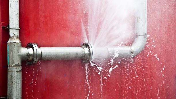 Best Professional water damage repair  in Mauston, WI